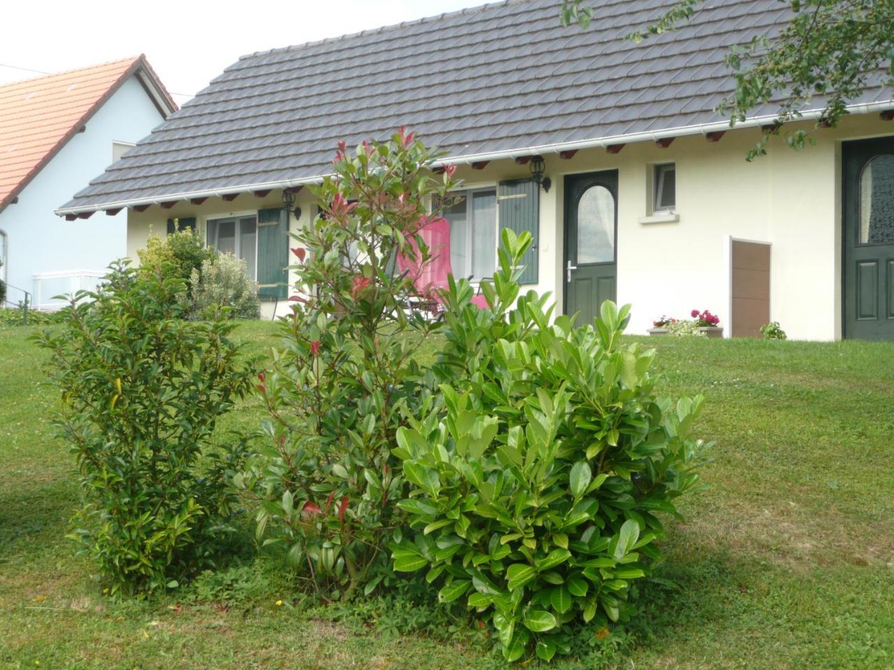 Chez Anny Et Jean Au Mittelbuehl-Reichshoffen住宿加早餐旅馆 外观 照片