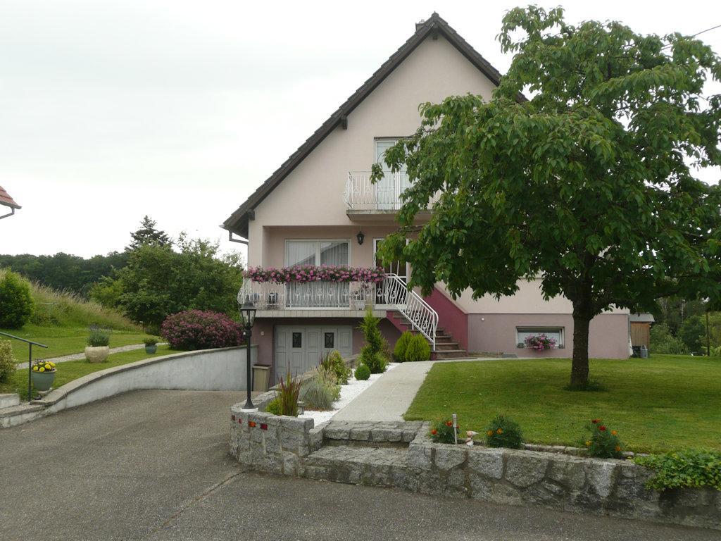 Chez Anny Et Jean Au Mittelbuehl-Reichshoffen住宿加早餐旅馆 外观 照片