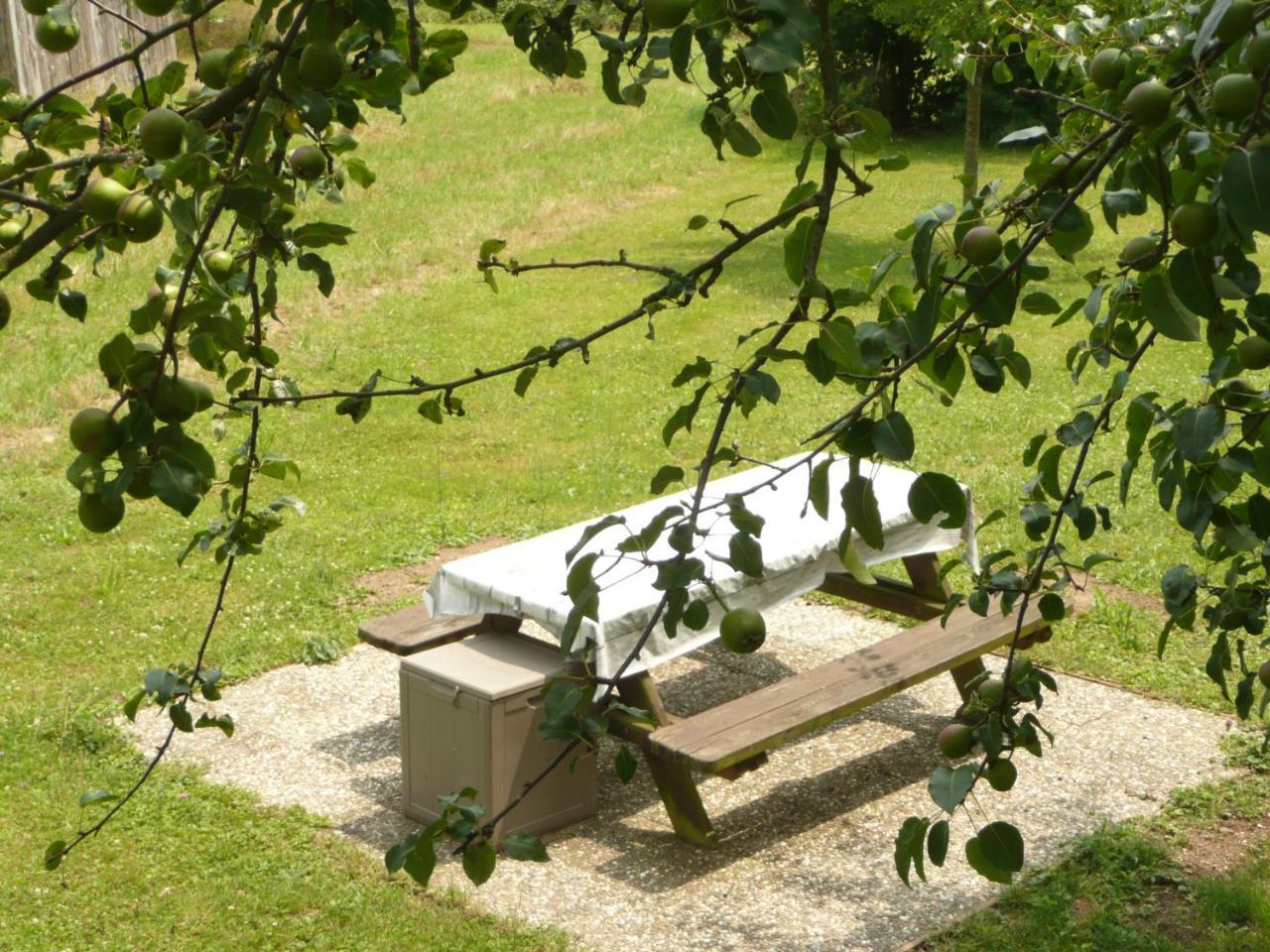 Chez Anny Et Jean Au Mittelbuehl-Reichshoffen住宿加早餐旅馆 外观 照片